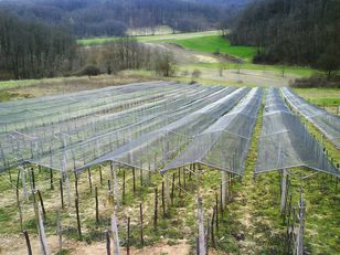 New Zaštita vinograda od TUČE